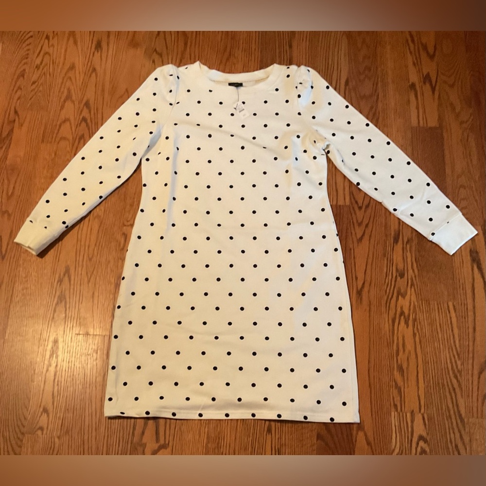 Talbots NWT Dress Cream with Black Polka Dots Size Large